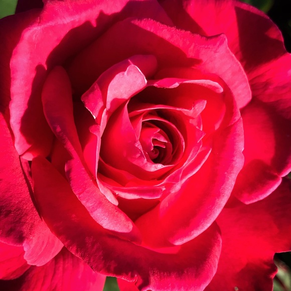 🖤🦇Welcome! To my Poshmark page! 🖤🦇 - Picture 4 of 5